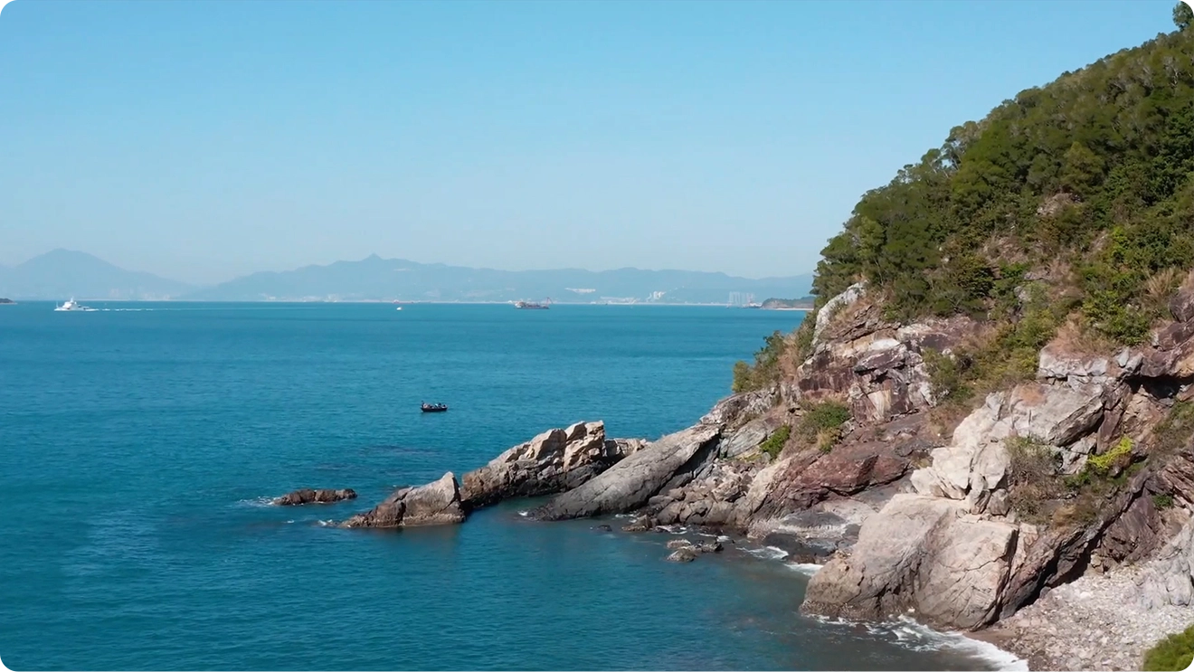 H.265 编码，零感低延迟高清体验